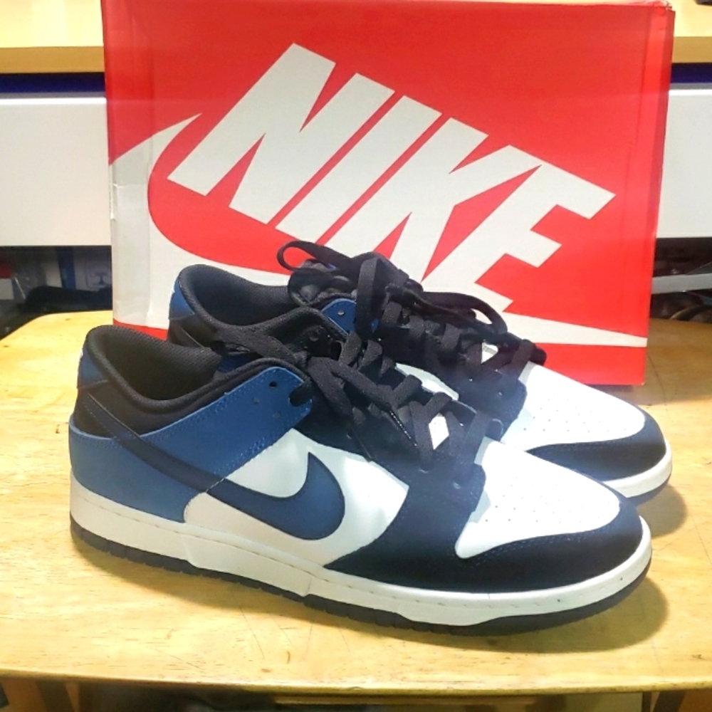 Nike DUNK LOW RETRO NAS FD6923 100